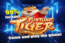 Privacy and responsible gaming guidance for online betting users